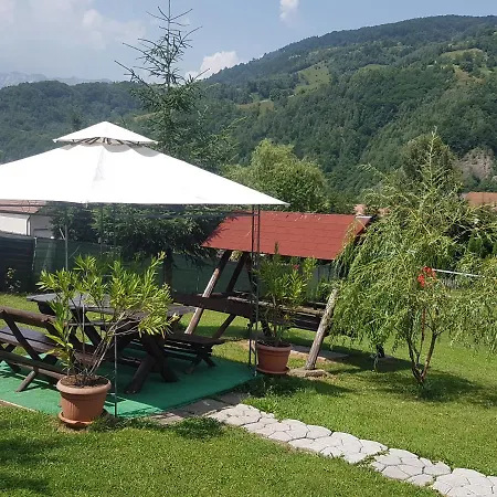 Guest house Pensiunea Casa Ady 3*