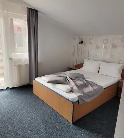 Guest house Pensiunea Casa Ady 3*