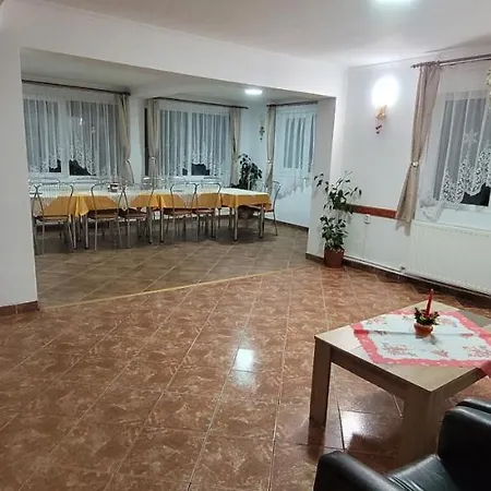 Guest house Pensiunea Casa Ady