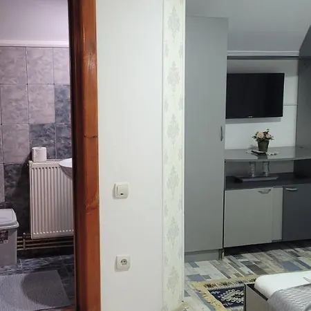 Guest house Pensiunea Casa Ady 3*