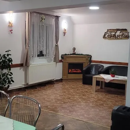 Pensiunea Casa Ady Guest house