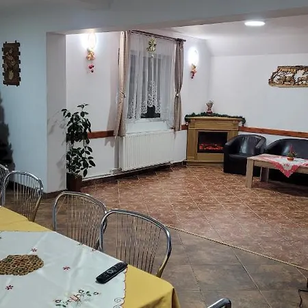 Guest house Pensiunea Casa Ady 3*