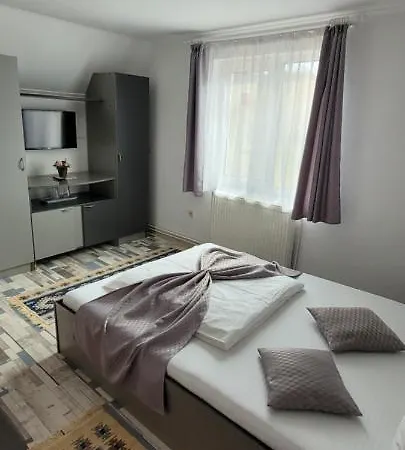 Pensiunea Casa Ady 3*