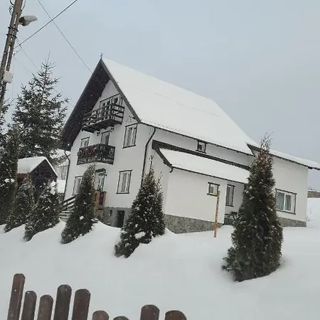 Guest house Pensiunea Casa Ady Bran (Brasov)