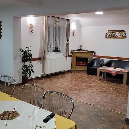 Pensiunea Casa Ady Guest house