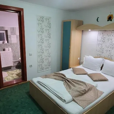 Pensiunea Casa Ady Guest house