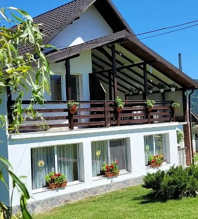 Pensiunea Casa Ady 3*