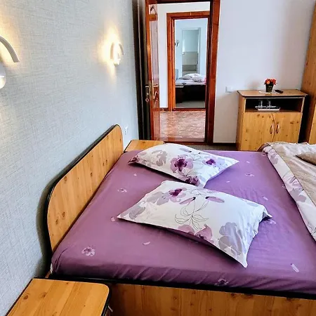 Guest house Pensiunea Casa Ady Bran (Brasov)