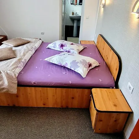 Pensiunea Casa Ady 3*