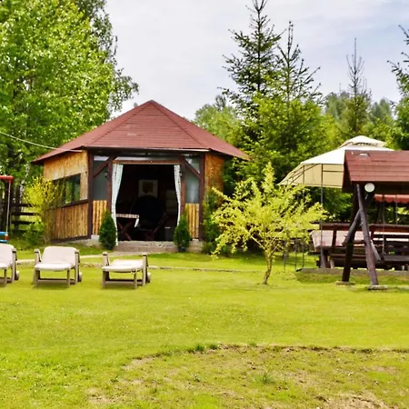 Guest house Pensiunea Casa Ady