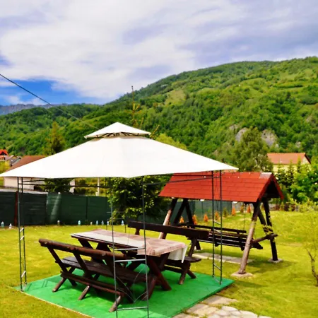 Guest house Pensiunea Casa Ady