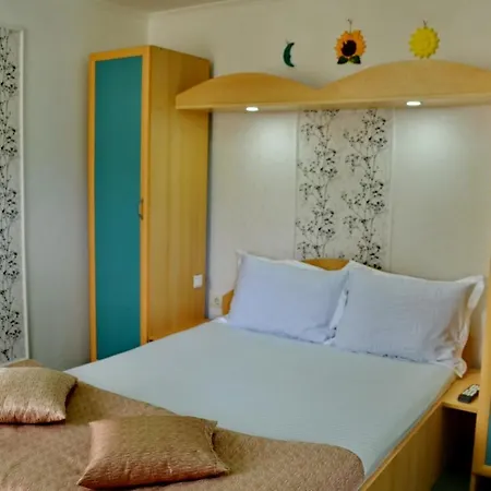 Pensiunea Casa Ady 3*