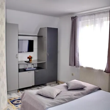 Pensiunea Casa Ady Guest house